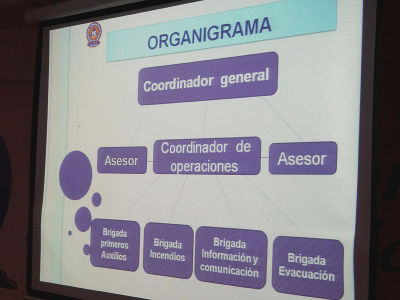 Conformación de brigadas2